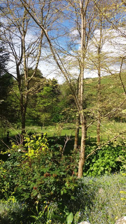 Gasthaus Idyllic Country Garden Manakau Exterior foto